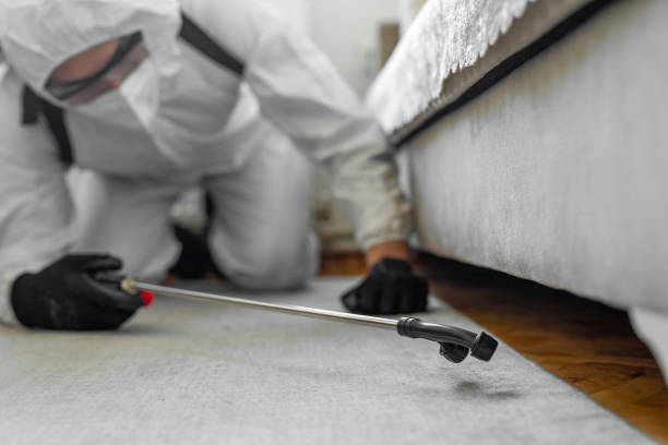 Professional Bed Bug Control technician working in Atlantic City, NJ