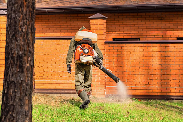 Trusted Cockroach Control service in Atlantic City, NJ - Nex Pest Control